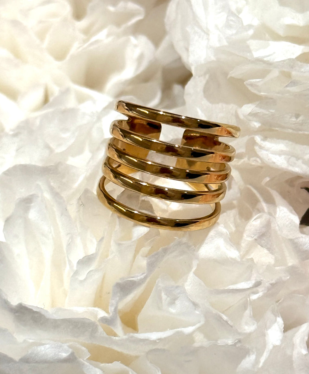 Anillo Saturno