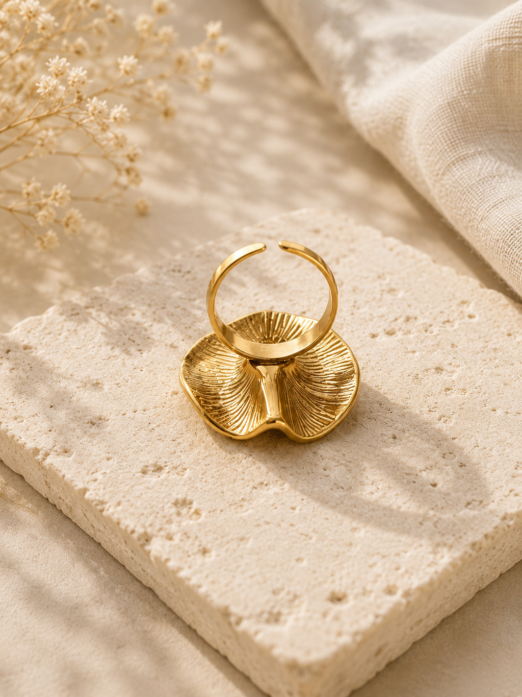 Anillo Luna
