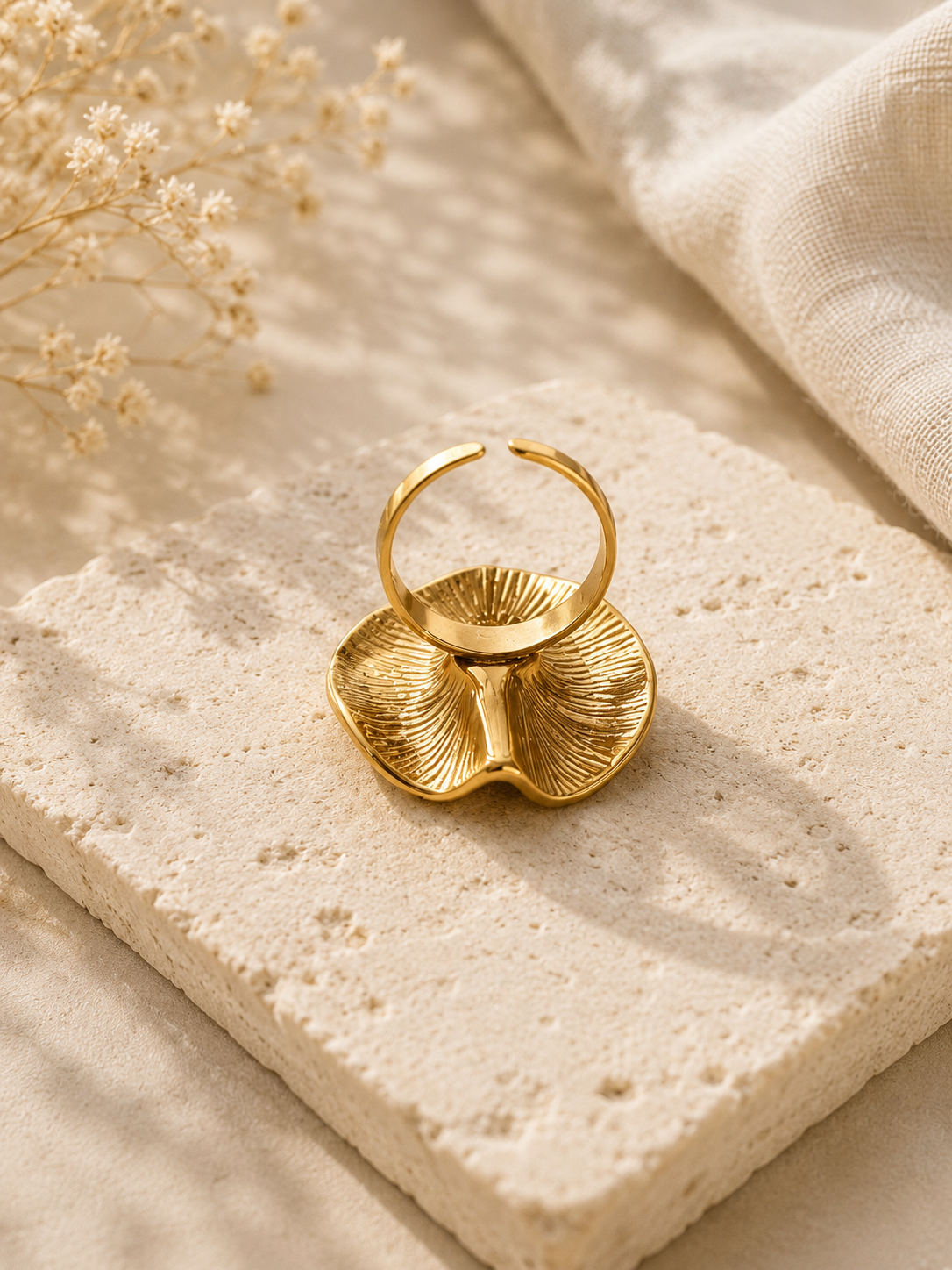 Anillo Luna