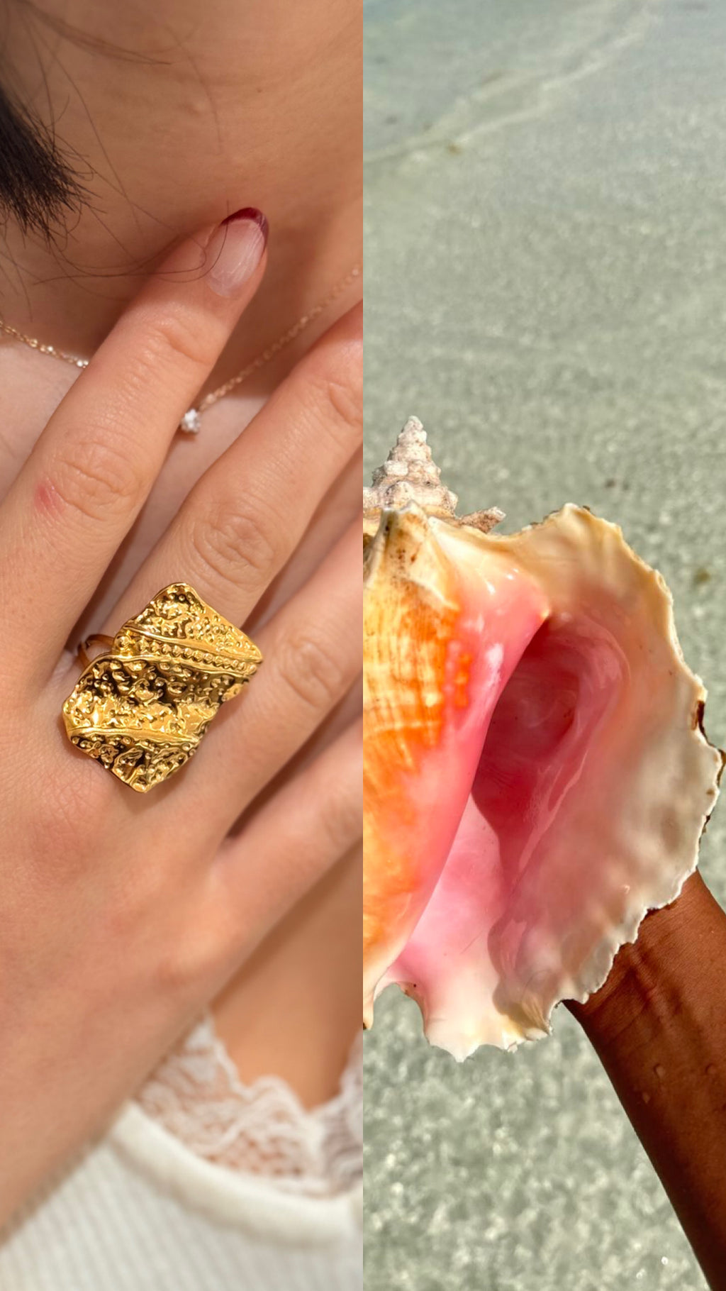 Anillo Aroa