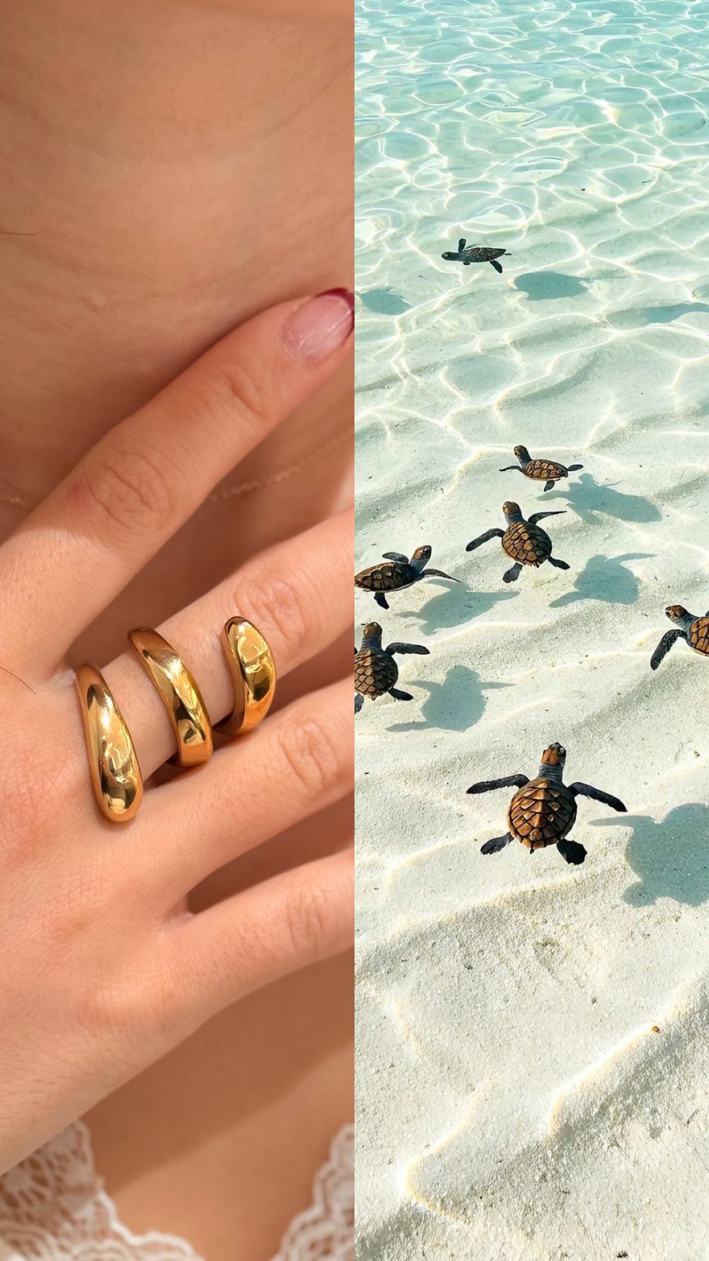 Anillo Eterna