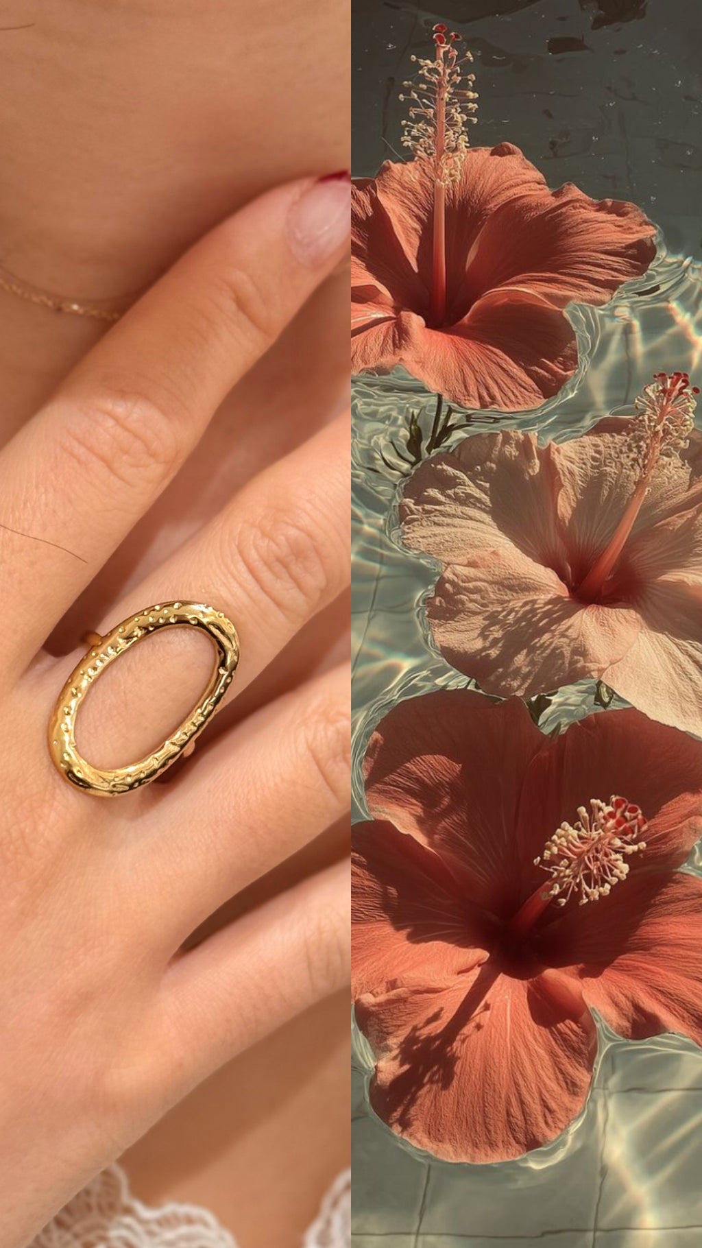 Anillo Latido