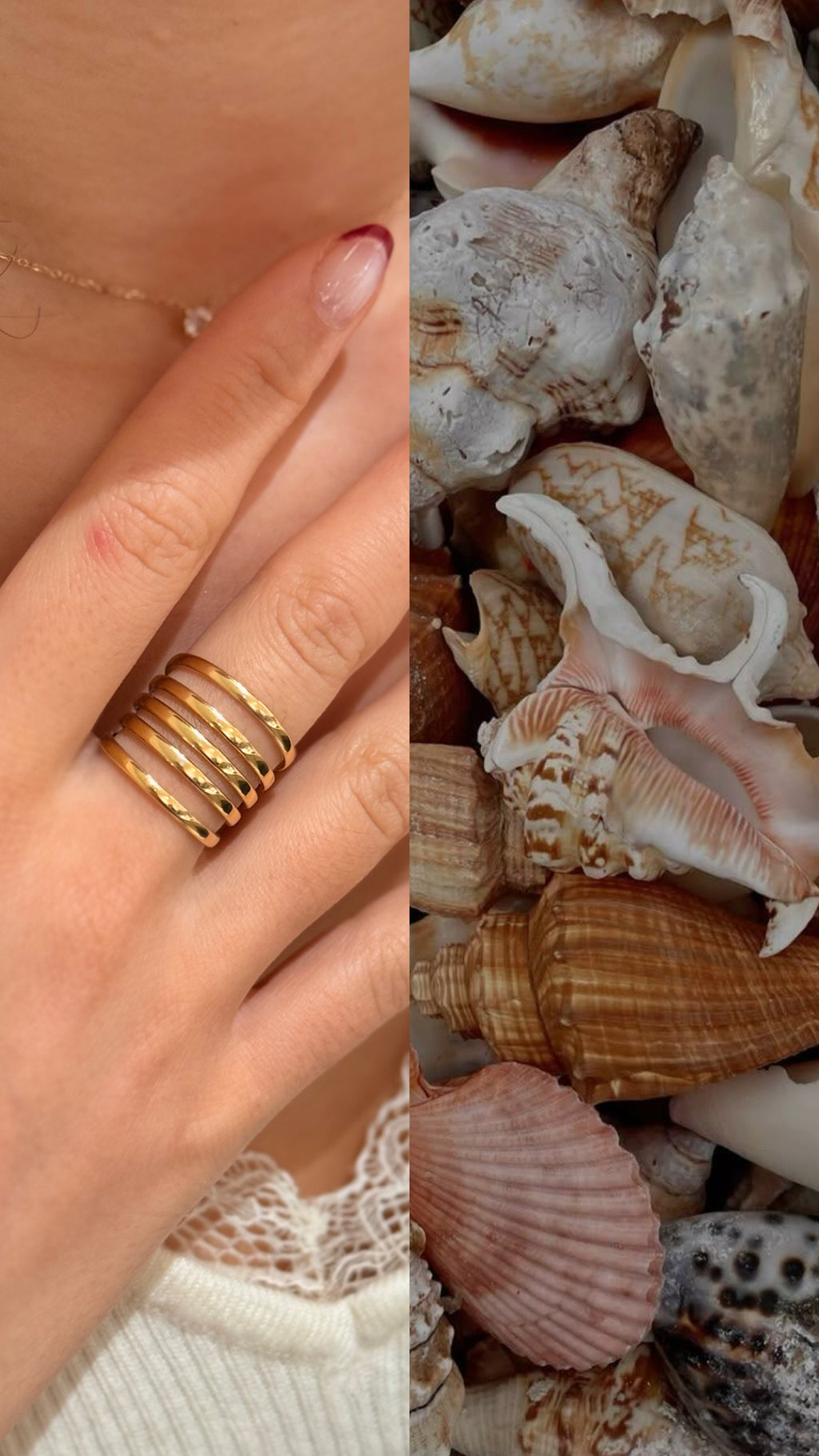 Anillo Saturno