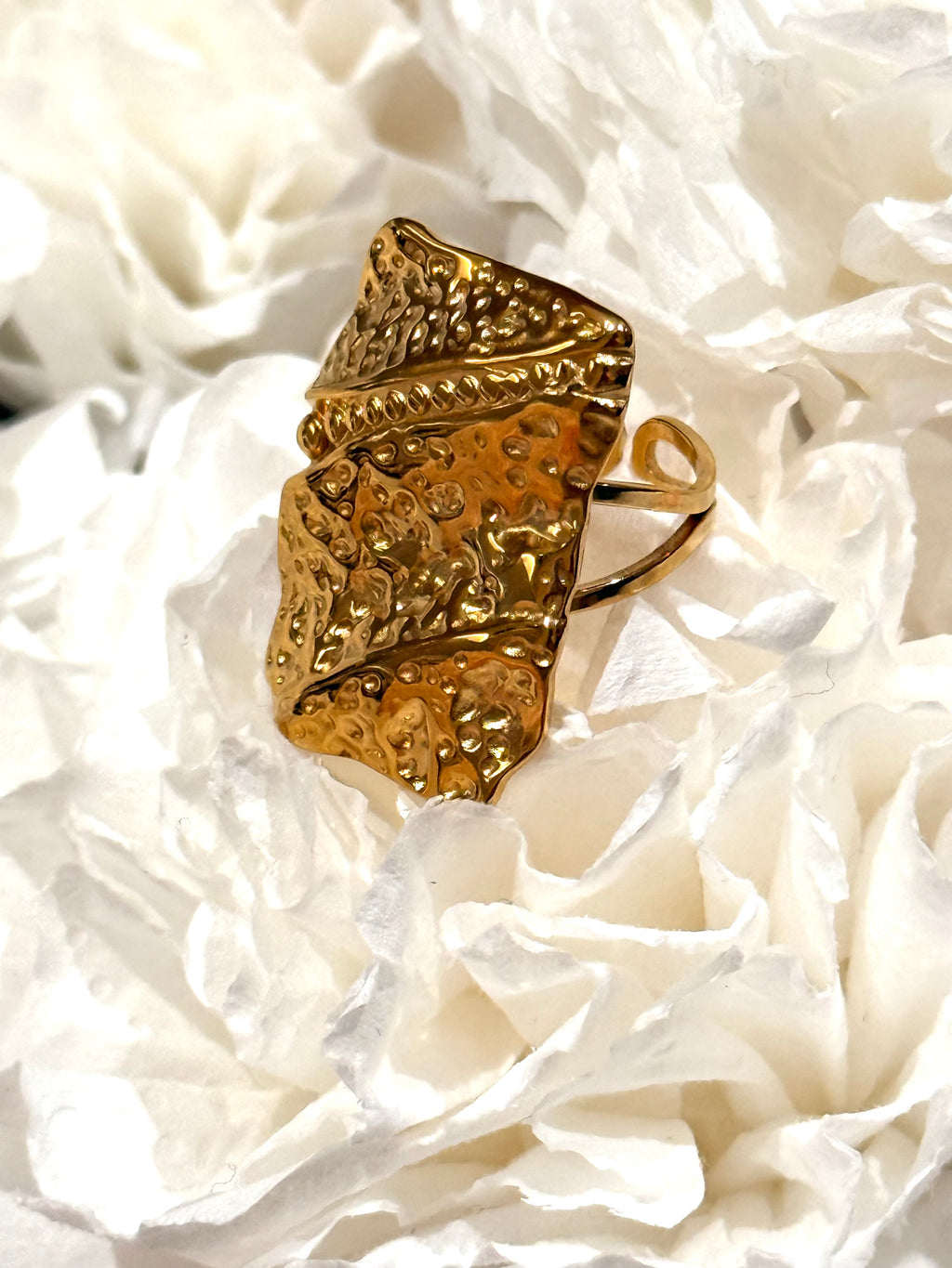 Anillo Aroa