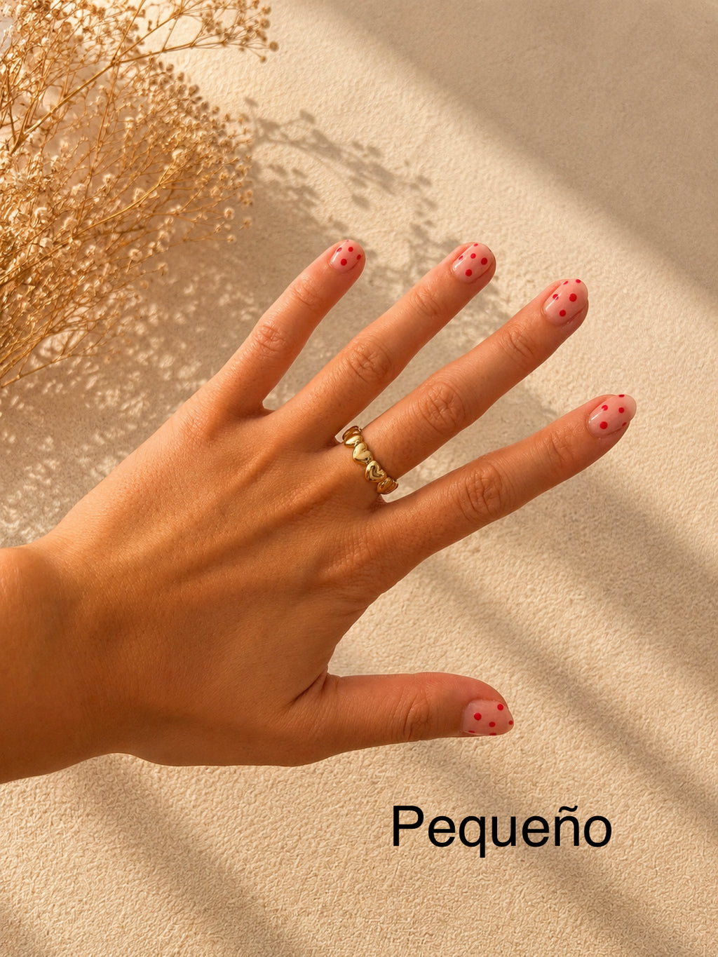 Anillo Marte
