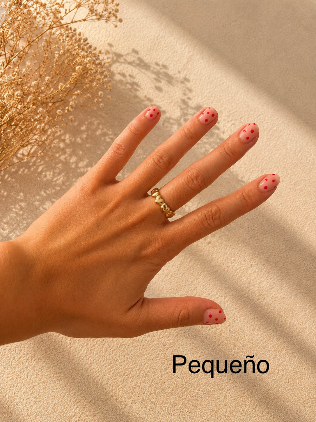Anillo Marte